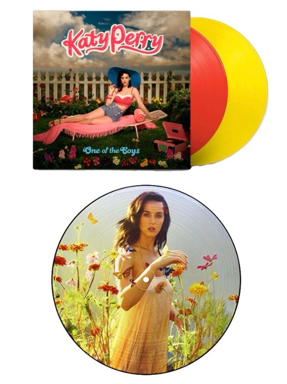 NEW! Katy Perry Vinyl Record Bundle